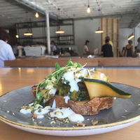 Supply Specialty Coffee  Bar