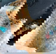 Foster's Bakery - Restaurant Canberra