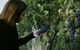 Rowlee Vine To Table Experience - thumb 0
