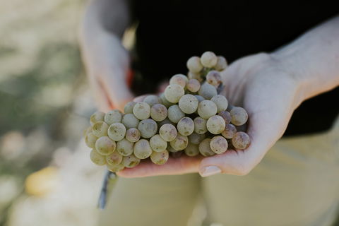 Rowlee Vine To Table Experience - Restaurant Canberra 1