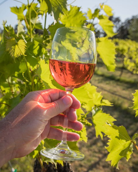 Breakfast Creek Vineyard - Restaurant Canberra 0