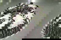 Caf Siciliadolce Pasticceria