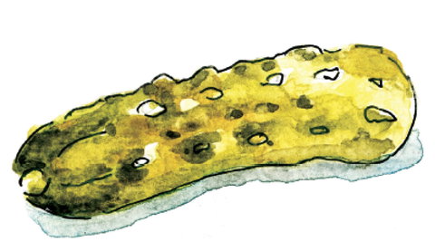 Gherkin Garden By Bethany Wines - Restaurant Canberra 1