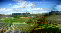 Kellybrook Winery and Kelly Brothers Cider