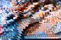 Polish Rye Crust Bakery