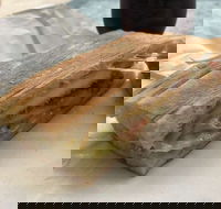 Vispo Espresso Bar - Restaurant Canberra