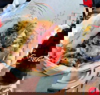 Gyradiko Bexley - Bexley - Restaurant Canberra