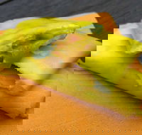 House Of Canton - Restaurant Canberra