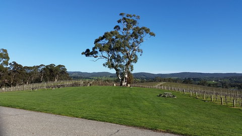 Nepenthe Wines - Restaurant Canberra 0