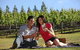 Nepenthe Wines - thumb 1
