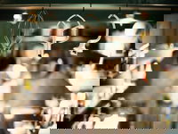 Bronte Takeaway and Bronte Restaurant Canberra Restaurant Canberra