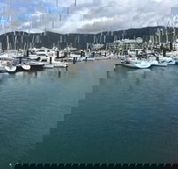 Whitsunday Sailing Club - Restaurant Canberra