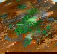 Four Figs - Restaurant Canberra