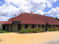 Grazing at Gundaroo