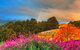 Hartzview Vineyard Heritage Pickers Hut Village - thumb 2