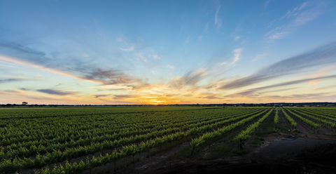 Atze's Corner Wines - Restaurant Canberra 2