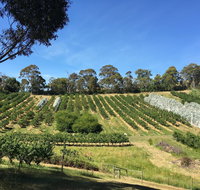 Cherrytime Orchard - Restaurant Canberra