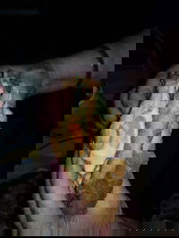 Cheltenham Takeaway and Cheltenham Restaurant Canberra Restaurant Canberra