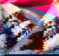 Donut King - Sunshine - Restaurant Canberra