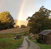 Hartzview Vineyard - Restaurant Canberra
