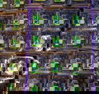 Jolly Berries - Restaurant Canberra