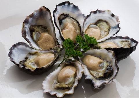 Tathra Oysters - Restaurant Canberra 0