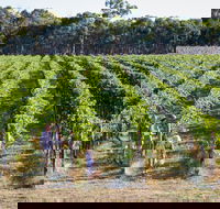 Weathercraft Wines - Restaurant Canberra