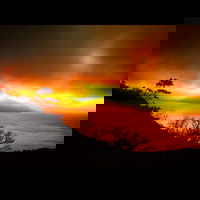 Fitzroy Island Takeaway and Fitzroy Island Restaurant Canberra Restaurant Canberra