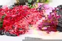 Caph's Bar Restaurant