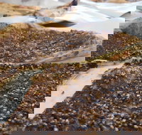 Yum Yum Bakery - Restaurant Canberra