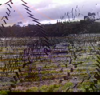Darlington Vineyard - Restaurant Canberra