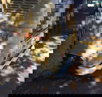 Kombi Koffein - Restaurant Canberra