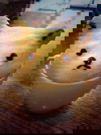 Muffin Break - Chatswood