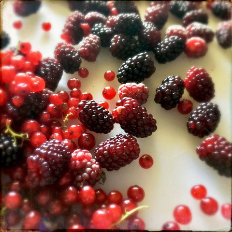 Gentle Annie Berry Gardens - Restaurant Canberra 1