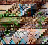 Wilderness Bar - Restaurant Canberra