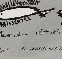 Williamstown Mussels - Restaurant Canberra