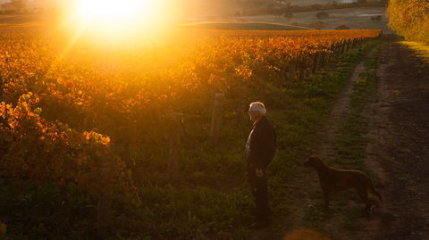 HOOSEGG Cellar Door - Restaurant Canberra 0