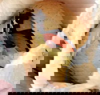 Post Office Cafe - Restaurant Canberra