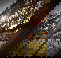 Pyramids Road Wines - Restaurant Canberra