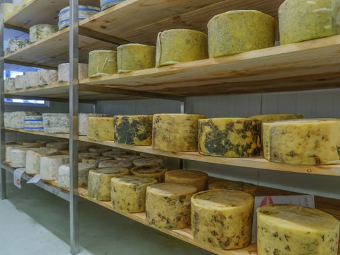 The Wicked Cheese Company - Restaurant Canberra 2