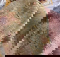 Zaika Tandoor - Restaurant Canberra