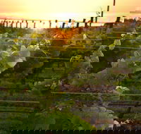 Bennetts on Bellarine Winery - Restaurant Canberra