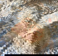 Mad Mex Fresh Mexican Grill - Restaurant Canberra