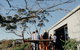 Mount Macedon Winery - thumb 0