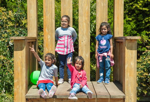 SkyHigh Mount Dandenong And Scenic Lookout - Restaurant Canberra 2