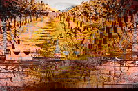 Whispering Brook