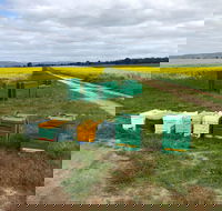 The Basin Backyard - Restaurant Canberra