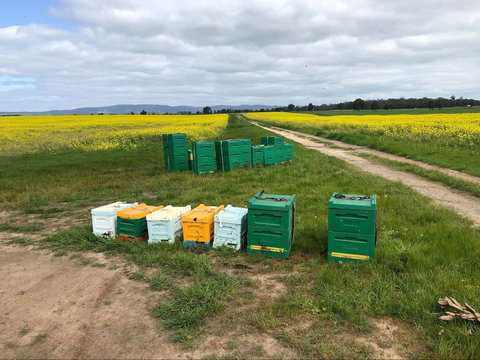 The Basin Backyard - Restaurant Canberra 0