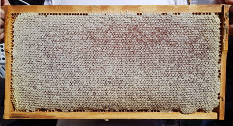 The Basin Backyard - Restaurant Canberra 1