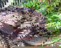 Woombye Takeaway and Woombye Restaurant Canberra Restaurant Canberra